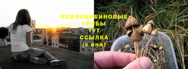 МДМА Алексин
