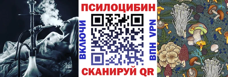 Псилоцибиновые грибы Cubensis  Кумертау 